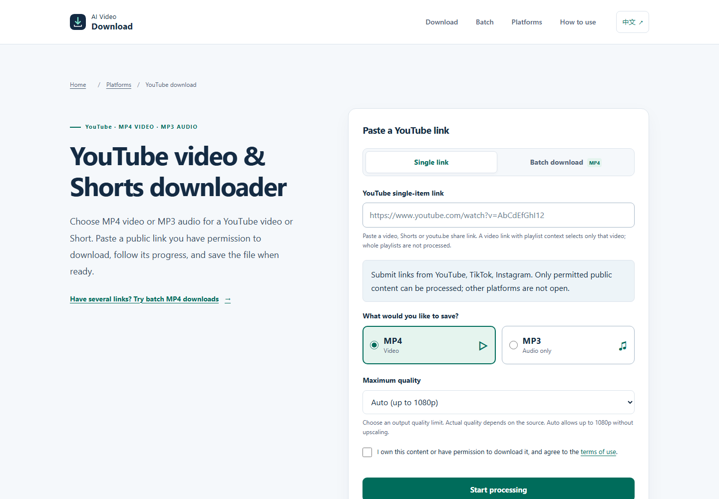 AI Video Download website preview